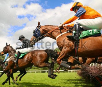 Спорт - 386 | Wall-Style