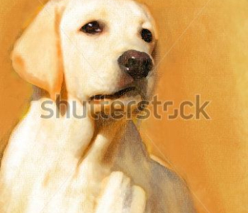 Арт - 11 | Wall-Style