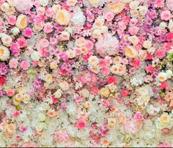 Цветы и растения - 71 | Wall-Style