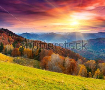 Природа - 629 | Wall-Style