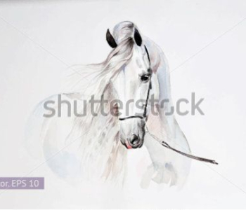 Арт - 13 | Wall-Style