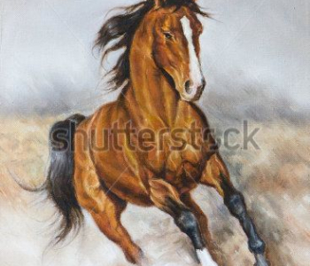 Животные - 55 | Wall-Style