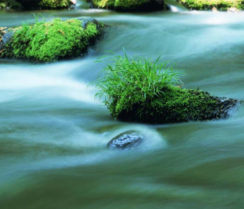 Природа - 421 | Wall-Style