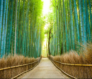 Природа - 35 | Wall-Style