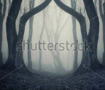 Фэнтези - 12 | Wall-Style