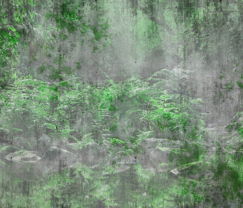 Природа - 50 | Wall-Style