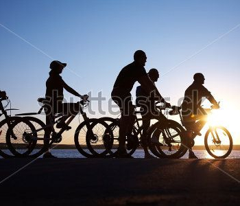 Спорт - 388 | Wall-Style