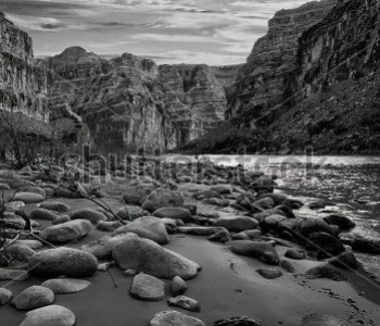 Природа - 498 | Wall-Style