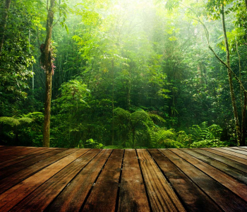 Природа - 23 | Wall-Style