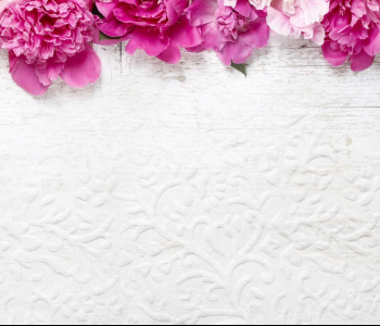 Цветы и растения - 144 | Wall-Style