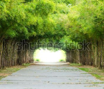 Природа - 644 | Wall-Style