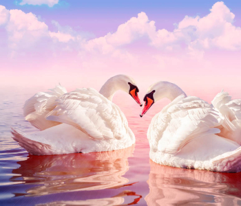 Животные - 17 | Wall-Style