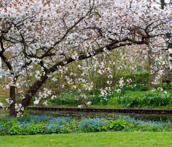 Природа - 12 | Wall-Style