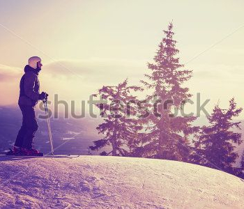 Спорт - 416 | Wall-Style