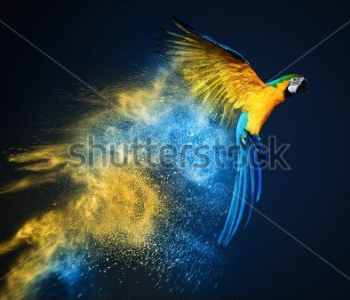 Животные - 109 | Wall-Style