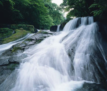 Природа - 441 | Wall-Style