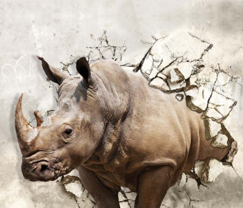 Животные - 20 | Wall-Style