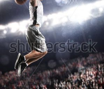 Спорт - 24 | Wall-Style