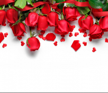 Цветы и растения - 148 | Wall-Style