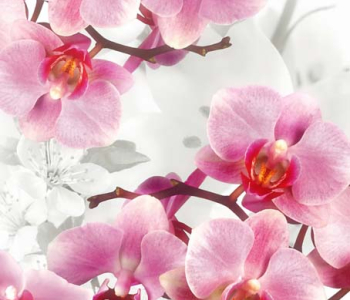 Цветы и растения - 210 | Wall-Style