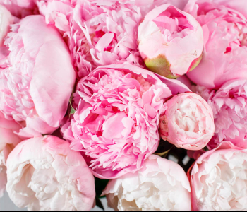 Цветы и растения - 81 | Wall-Style