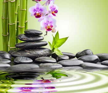 Цветы и растения - 137 | Wall-Style