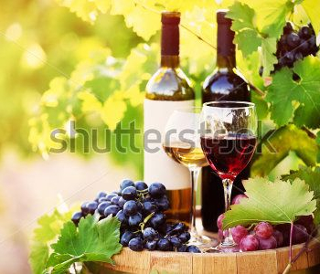 Еда и напитки - 197 | Wall-Style