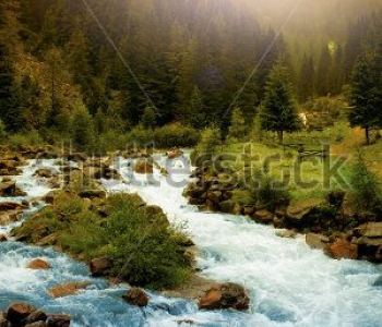 Природа - 101 | Wall-Style