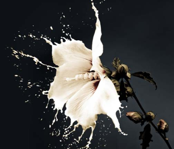 3Д - 67 | Wall-Style