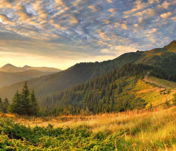 Природа - 450 | Wall-Style