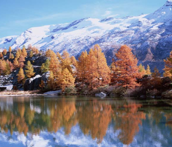 Природа - 471 | Wall-Style