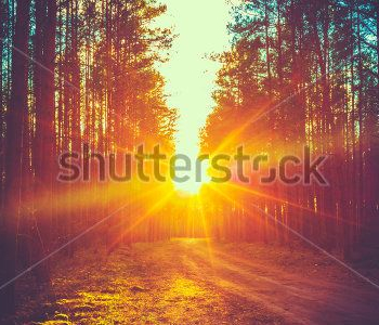 Природа - 192 | Wall-Style