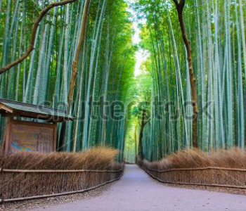 Природа - 158 | Wall-Style