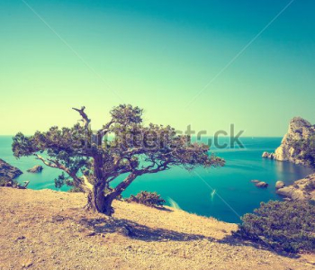 Природа - 191 | Wall-Style