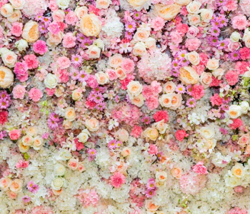 Цветы и растения - 188 | Wall-Style