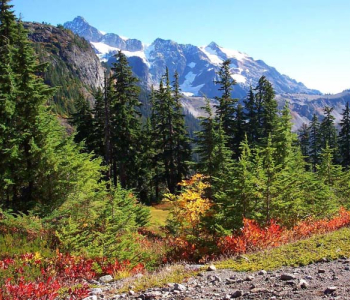 Природа - 66 | Wall-Style