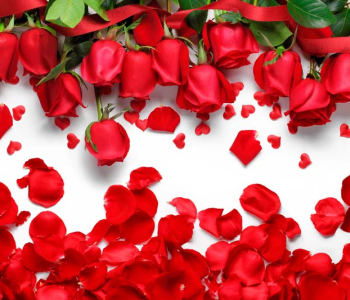 Цветы и растения - 182 | Wall-Style