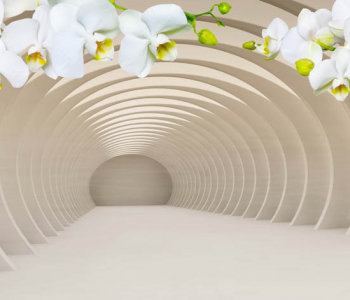 3Д - 14 | Wall-Style