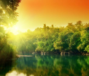 Природа - 29 | Wall-Style