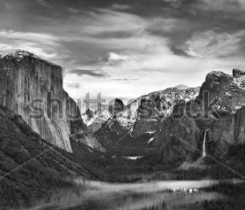 Природа - 546 | Wall-Style