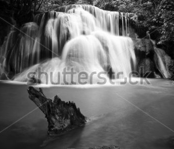 Природа - 525 | Wall-Style