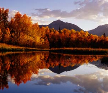 Природа - 456 | Wall-Style