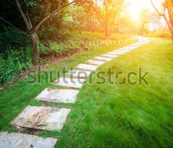 Природа - 637 | Wall-Style