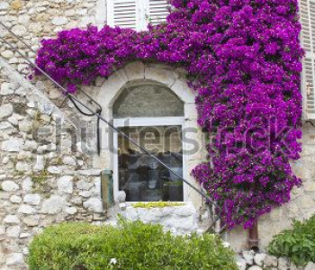 Старый город - 205 | Wall-Style