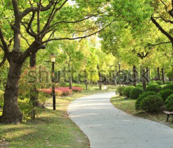 Природа - 557 | Wall-Style