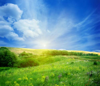 Природа - 12 | Wall-Style