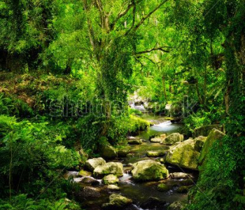 Природа - 137 | Wall-Style