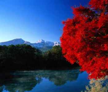 Природа - 455 | Wall-Style