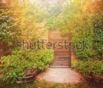 Природа - 627 | Wall-Style