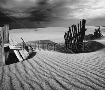 Природа - 513 | Wall-Style